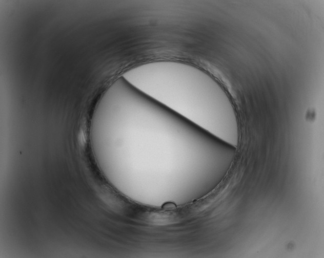 X0000103330069200809051032