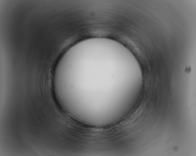 X0000103330071200809051032