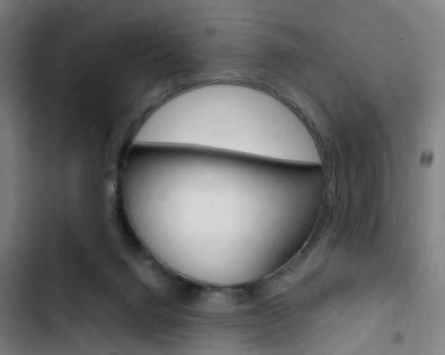 X0000103330072200809051032