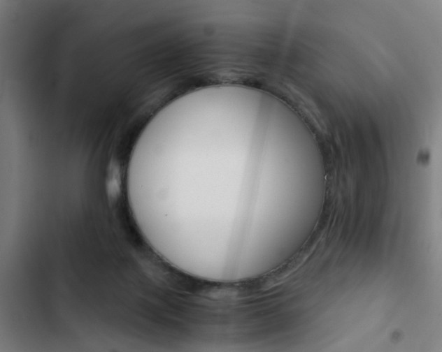 X0000103330075200809051032
