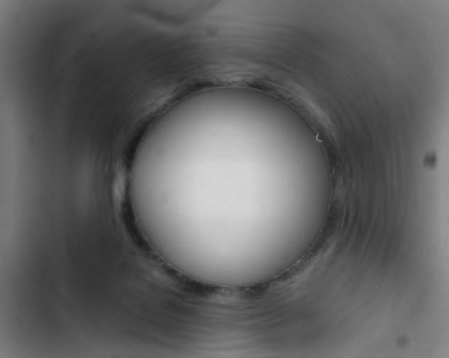 X0000103330076200809051032