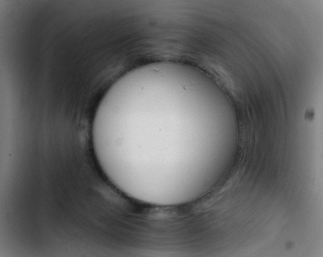 X0000103330077200809051032