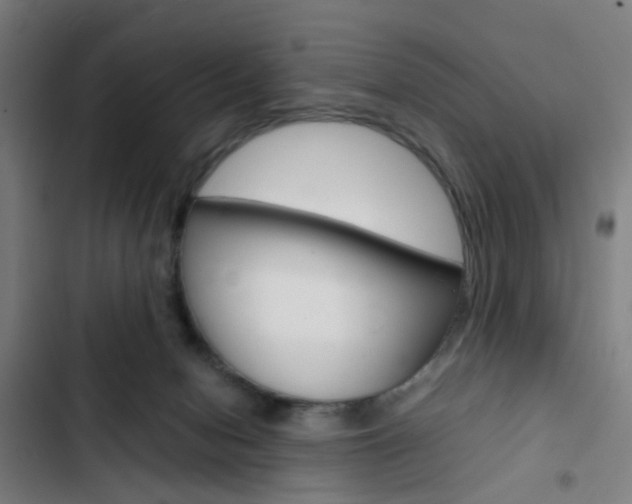 X0000103330078200809051032