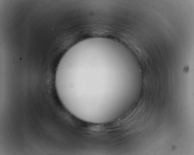 X0000103330079200809051032