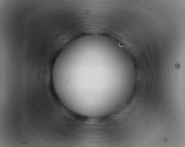 X0000103330080200809051032