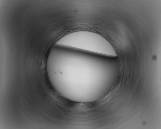 X0000103330082200809051032