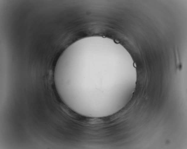 X0000103330087200809051032