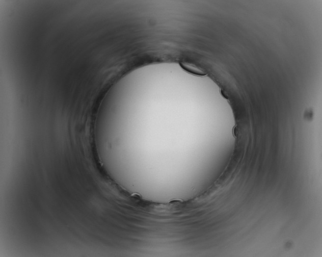 X0000103330088200809051032