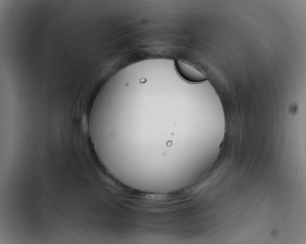 X0000103330089200809051032
