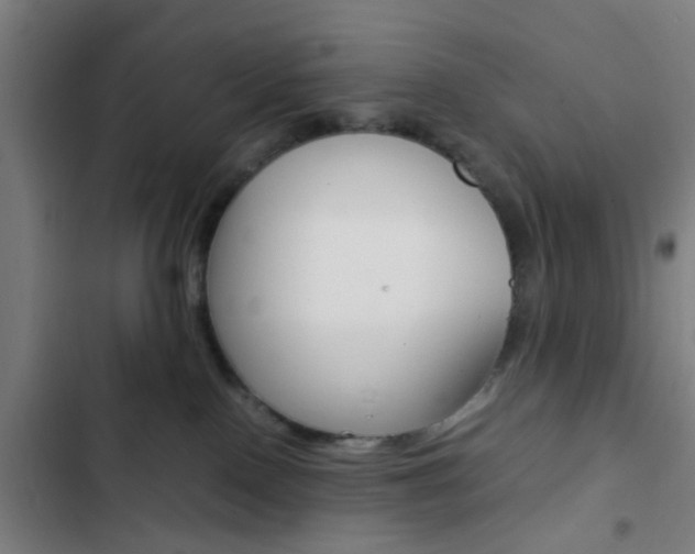 X0000103330090200809051032