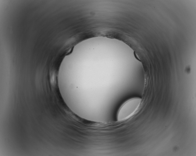 X0000103330094200809051032