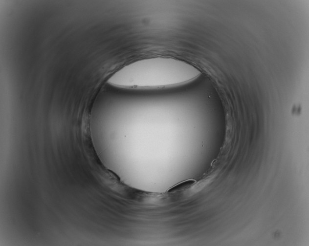 X0000103330096200809051032