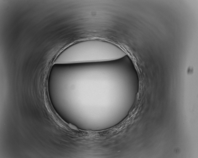 X0000103330097200809051031