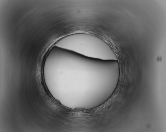 X0000103330098200809051031