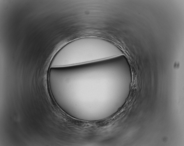 X0000103330099200809051031
