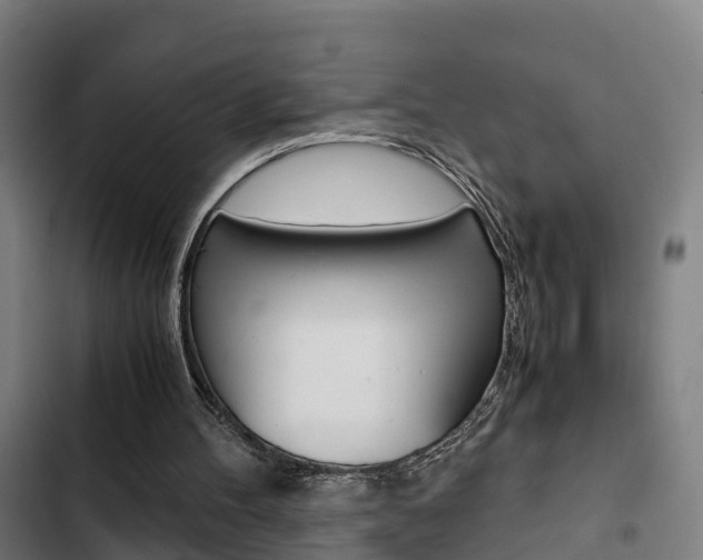 X0000103330100200809051031
