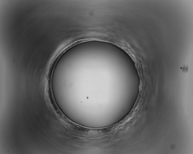 X0000103330101200809051031