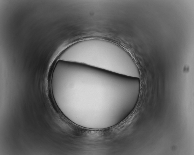 X0000103330102200809051031