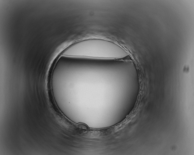 X0000103330104200809051031