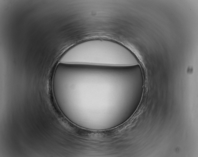 X0000103330105200809051031
