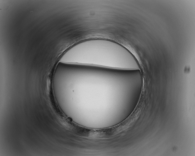 X0000103330109200809051031