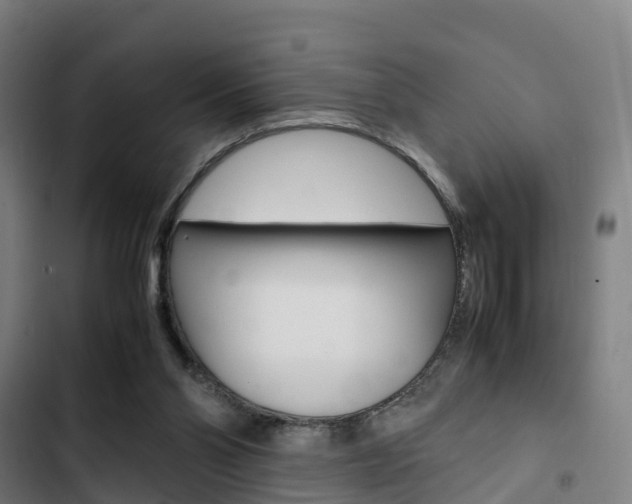 X0000103330110200809051031