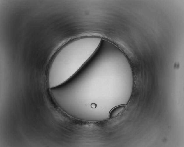 X0000103330112200809051031