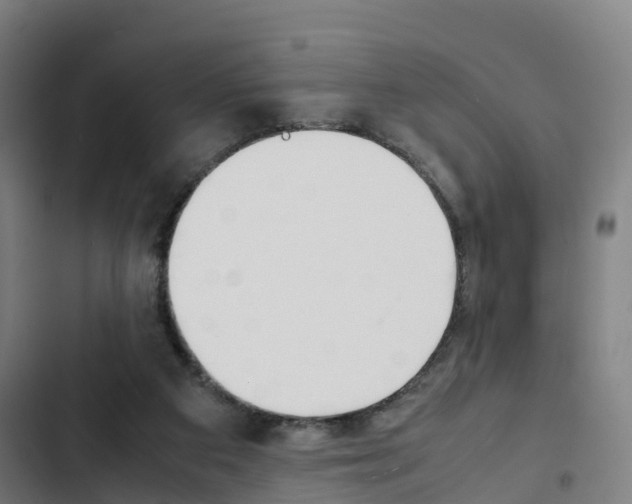 X0000103330113200809051031