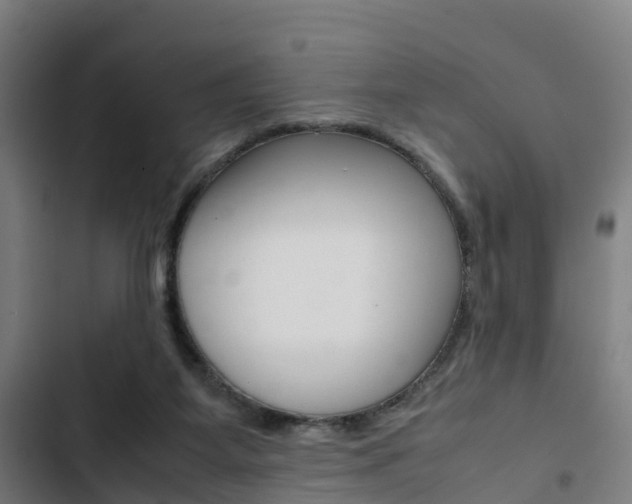 X0000103330115200809051031