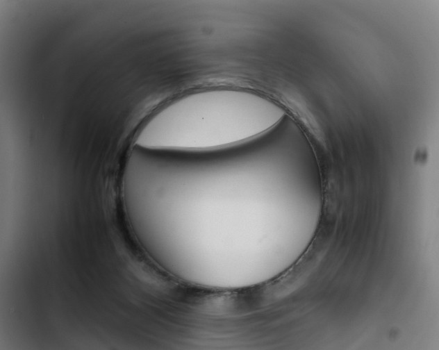 X0000103330116200809051031