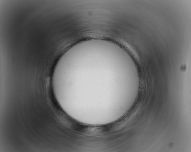 X0000103330117200809051031