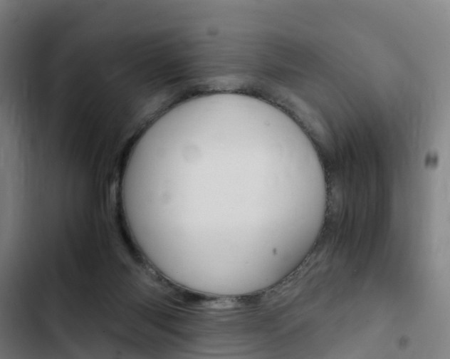 X0000103330118200809051031