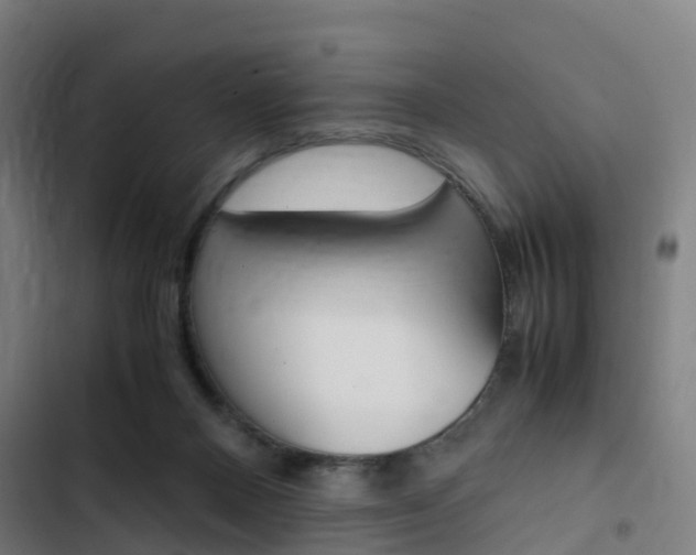 X0000103330120200809051031
