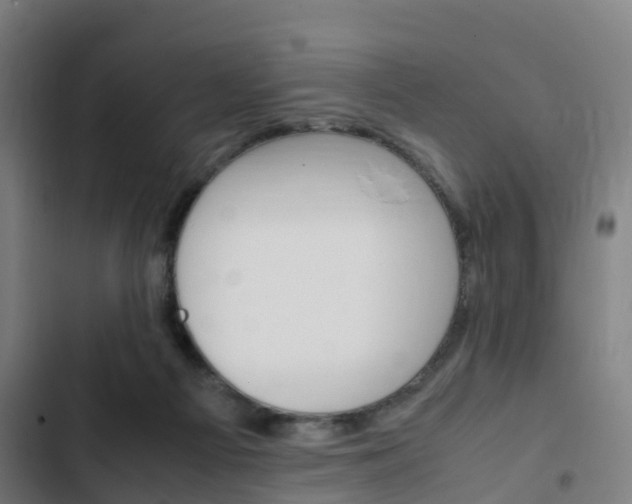 X0000103330121200809051031