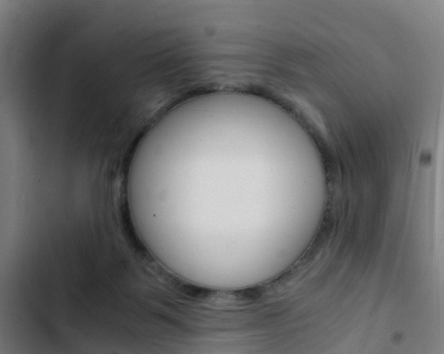 X0000103330123200809051031