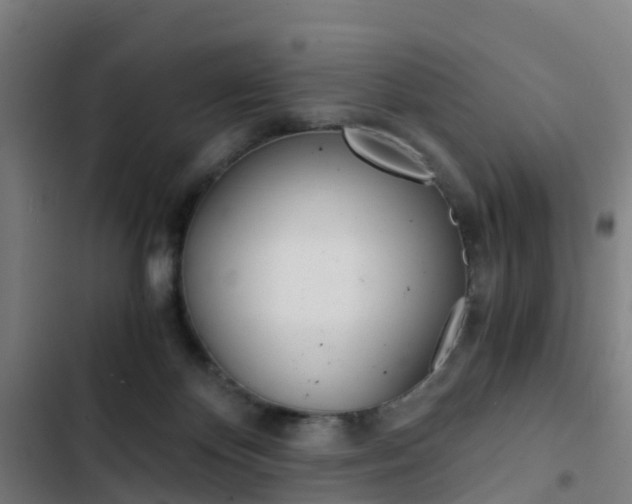 X0000103330124200809051031
