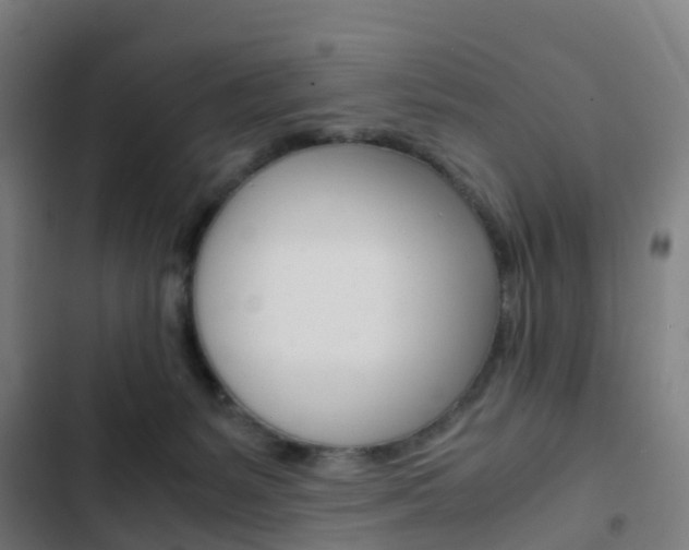 X0000103330127200809051031