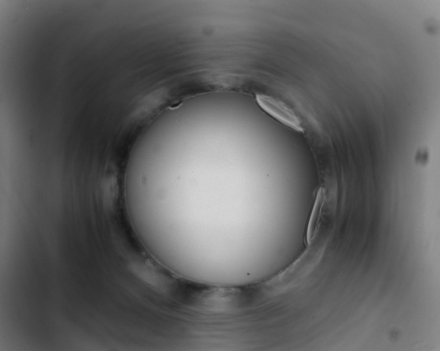 X0000103330128200809051031