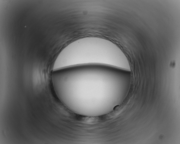X0000103330135200809051031