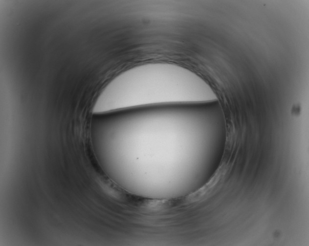 X0000103330136200809051031
