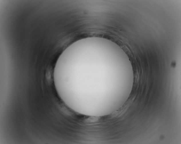 X0000103330138200809051031