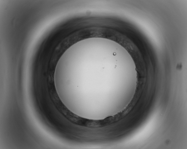 X0000103330143200809051030