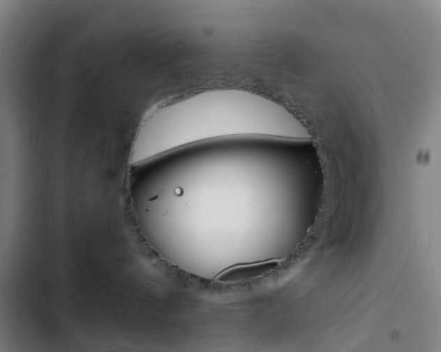 X0000103330144200809051030