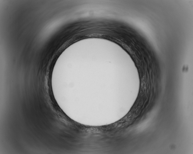 X0000103330146200809051030