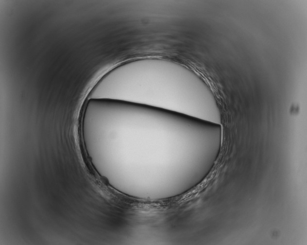 X0000103330147200809051030