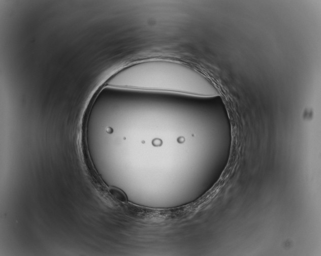 X0000103330148200809051030