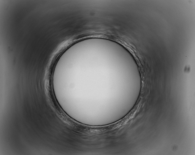 X0000103330149200809051030