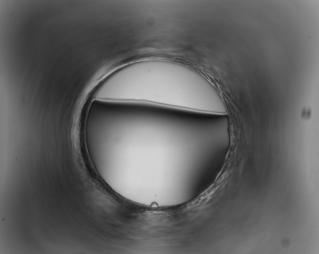 X0000103330150200809051030