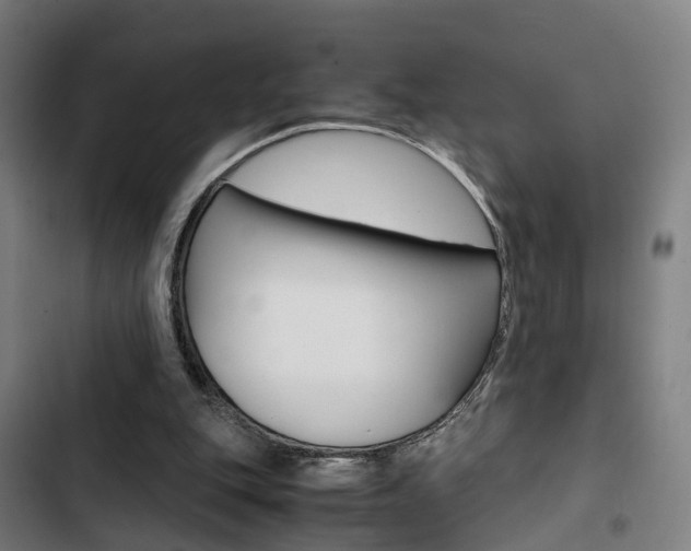 X0000103330151200809051030
