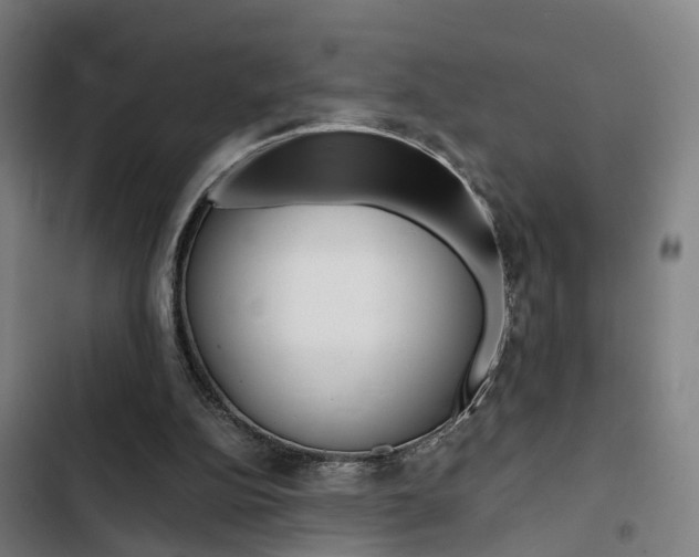X0000103330152200809051030